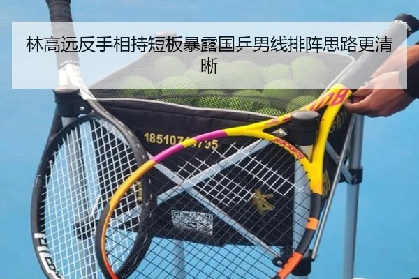 林高远反手相持短板暴露国乒男线排阵思路更清晰